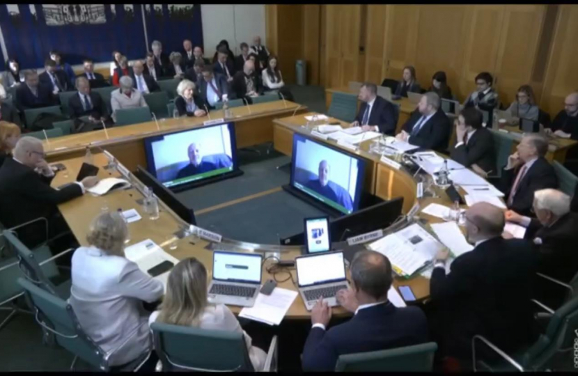 Image of the Business and Trade Select Committee in session