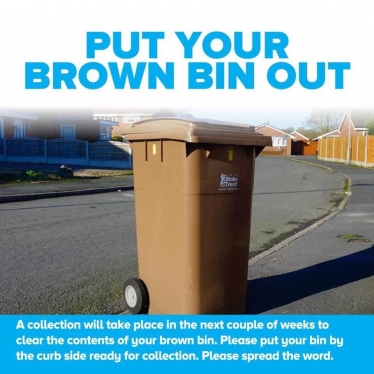 brown bin